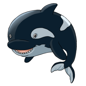 Killer whale PNG-71283